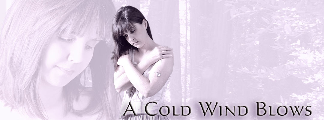 Debra Lyn - A Cold Wind Blows